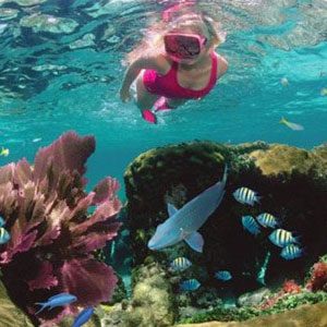 Best Beaches & Scuba Diving Spots in Bermuda