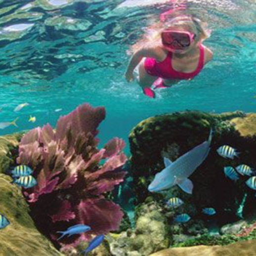 woman snorkeling in Bermuda